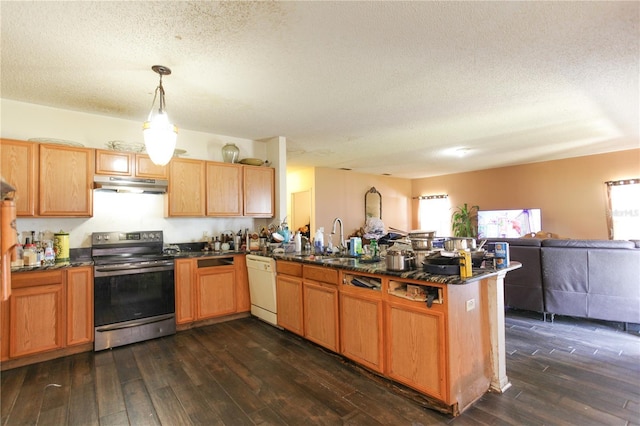 2305 Rio Grande Forest Ln, Kissimmee, FL 34759 - kitchen featuring stainless steel range with electric cooktop, under cabinet range hood, dishwasher, a peninsula, and plenty of natural light