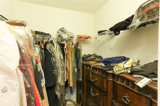 2305 Rio Grande Forest Ln, Kissimmee, FL 34759 - view of walk in closet
