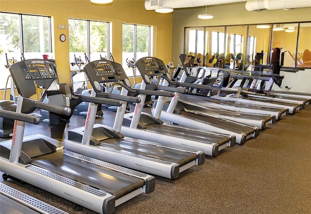 2305 Rio Grande Forest Ln, Kissimmee, FL 34759 - exercise room with plenty of natural light