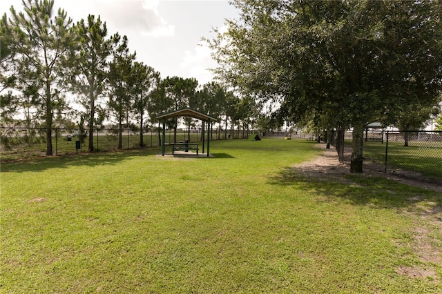 2305 Rio Grande Forest Ln, Kissimmee, FL 34759 - view of yard