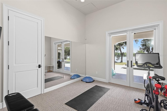 1112 Preserve Point Dr, Winter Park, FL 32789 - workout room with french doors, carpet flooring, and plenty of natural light