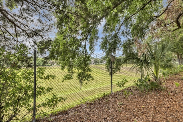 2132 Palm Vista Dr, Apopka, FL 32712 - view of yard