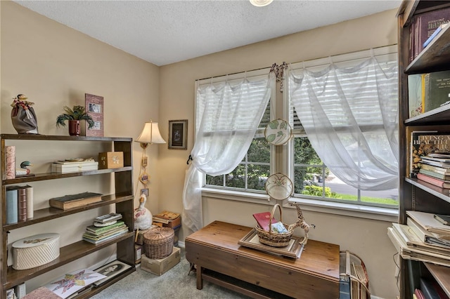 2132 Palm Vista Dr, Apopka, FL 32712 - living area with carpet floors and a textured ceiling