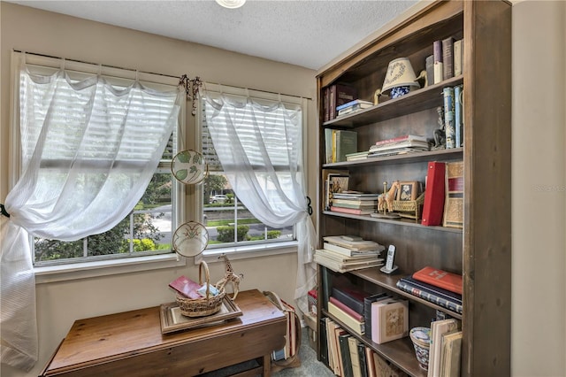 2132 Palm Vista Dr, Apopka, FL 32712 - living area featuring healthy amount of natural light and a textured ceiling