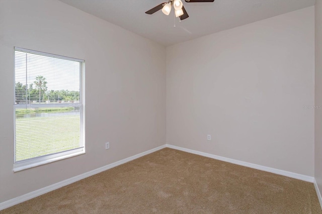 4034 Bougainvillea Pl, Kissimmee, FL 34746 - photo 28