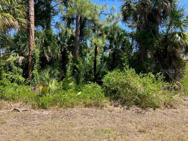 5016 Treasure Ln, Labelle, FL 33935 - photo 2