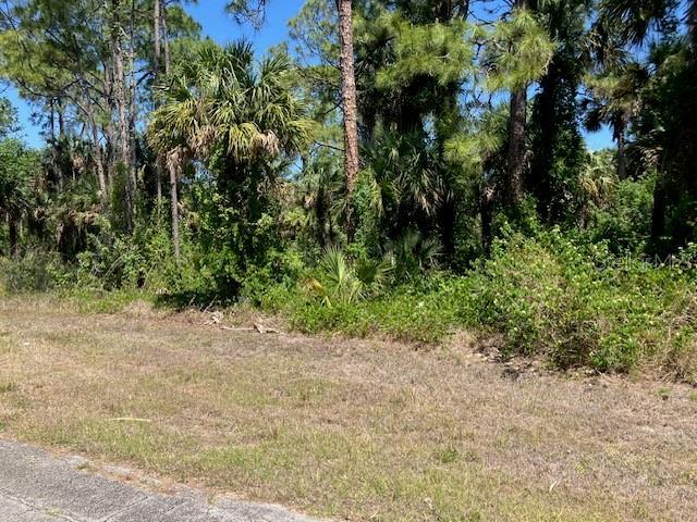 5016 Treasure Ln, Labelle, FL 33935 - photo 4