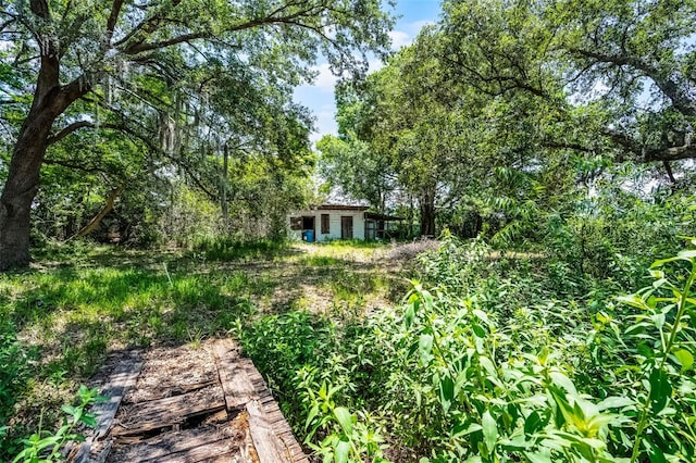 5671 Cypress Gardens Rd, Winter Haven, FL 33884 - photo 50