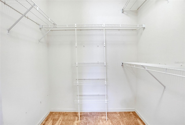5382 SW 84th Pl, Ocala, FL 34476 - spacious closet featuring carpet flooring