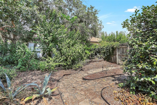 5382 SW 84th Pl, Ocala, FL 34476 - view of yard