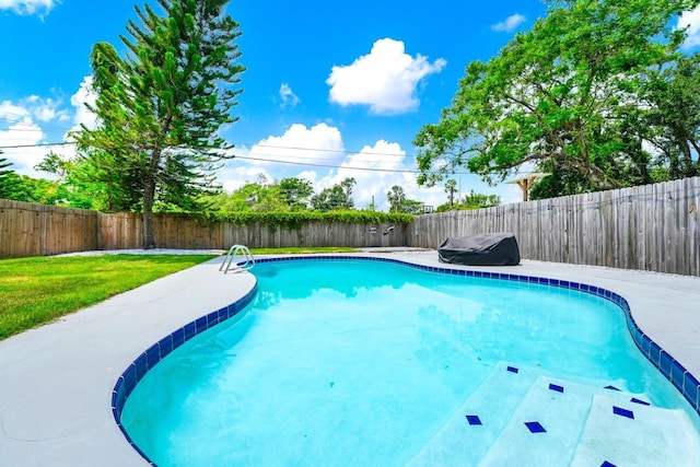 7616 Simms Ave, Orlando, FL 32812 - view of pool