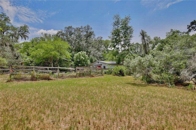 4802 Anton Ave, Apopka, FL 32712 - view of yard
