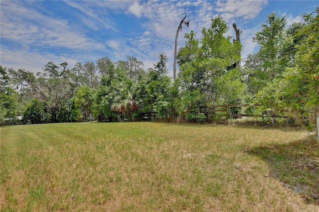 4802 Anton Ave, Apopka, FL 32712 - view of yard