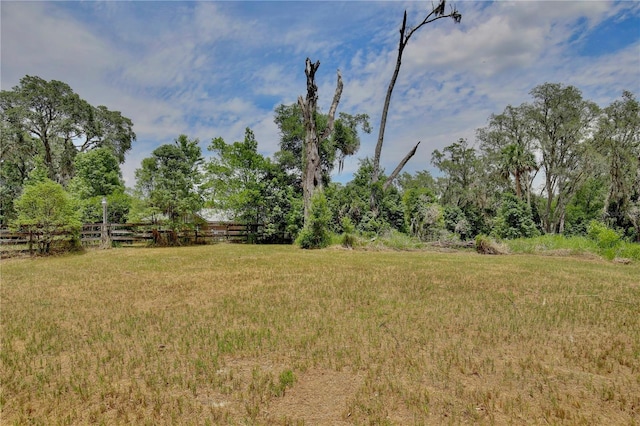 4802 Anton Ave, Apopka, FL 32712 - view of yard