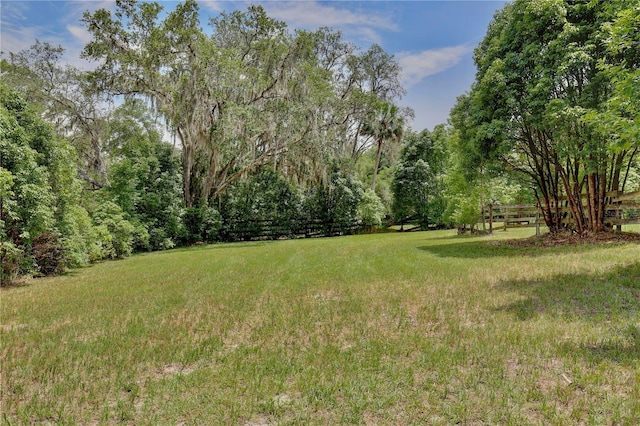4802 Anton Ave, Apopka, FL 32712 - view of yard
