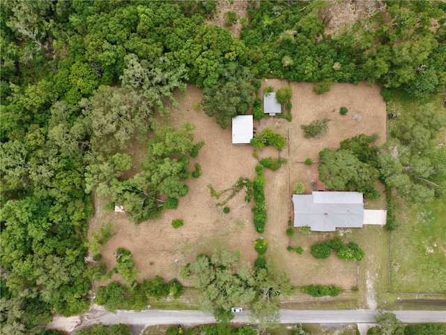 4802 Anton Ave, Apopka, FL 32712 - aerial view of property's location