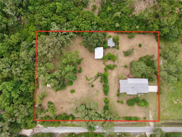 4802 Anton Ave, Apopka, FL 32712 - aerial view of property's location featuring property boundaries highlighted