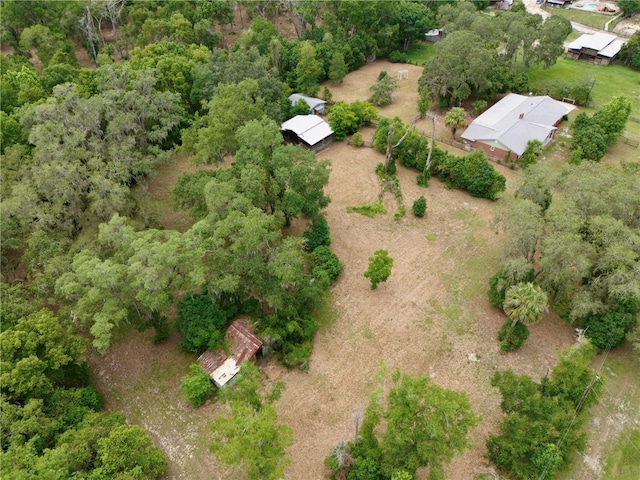4802 Anton Ave, Apopka, FL 32712 - aerial view of property's location