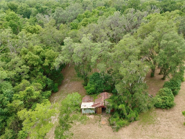 4802 Anton Ave, Apopka, FL 32712 - view of subject property with a forest