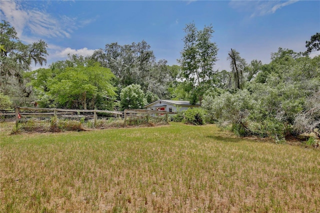 4802 Anton Ave, Apopka, FL 32712 - view of yard