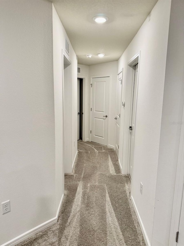 1900 Erudite Way, Winter Park, FL 32792 - corridor featuring carpet and baseboards