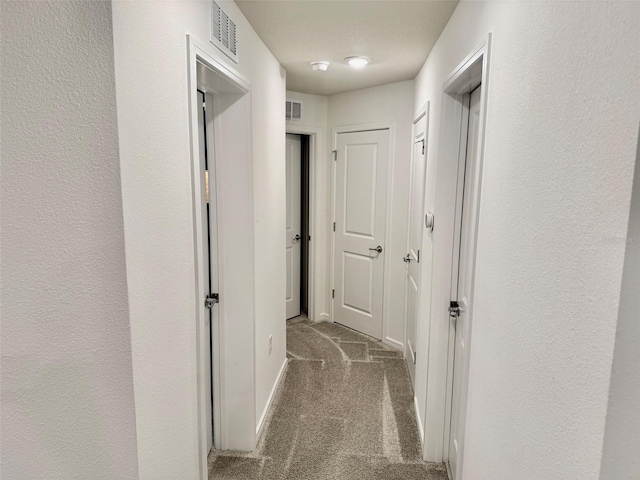1900 Erudite Way, Winter Park, FL 32792 - hall with carpet floors and baseboards
