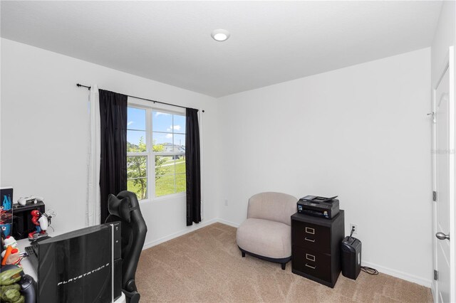 296 Inman Blvd, Winter Haven, FL 33881 - photo 18