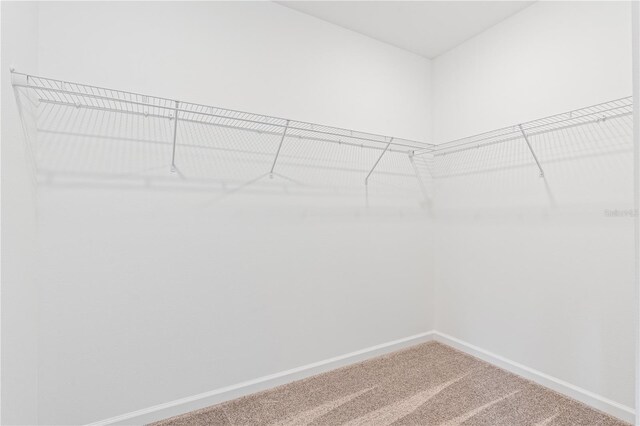 2716 Pierr St, Davenport, FL 33837 - spacious closet with carpet floors