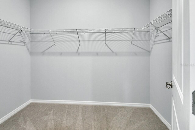 1580 Delphi Way, New Smyrna Beach, FL 32168 - spacious closet with carpet
