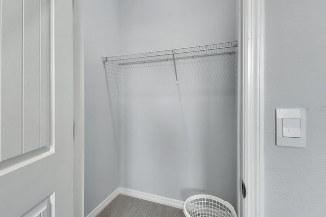 1580 Delphi Way, New Smyrna Beach, FL 32168 - walk in closet with carpet flooring