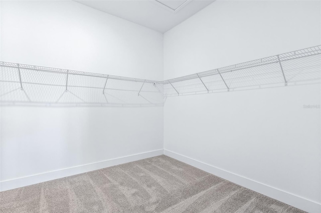 1262 Champions Dr, Daytona Beach, FL 32124 - spacious closet featuring carpet floors