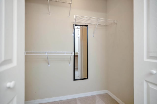 4952 Tangerine Ave Unit 4952, Winter Park, FL 32792 - walk in closet featuring carpet floors