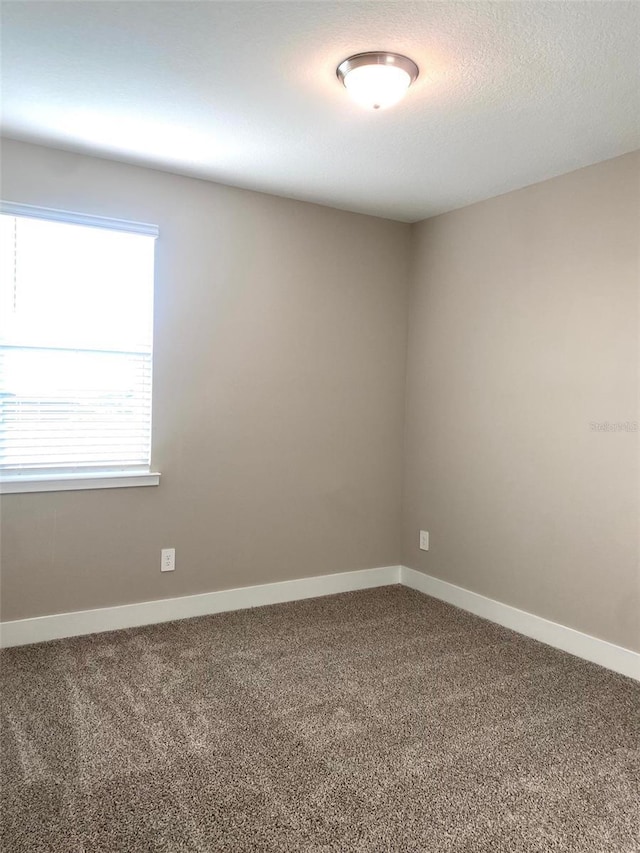16454 Silver Brook Way, Winter Garden, FL 34787 - unfurnished room with carpet and baseboards