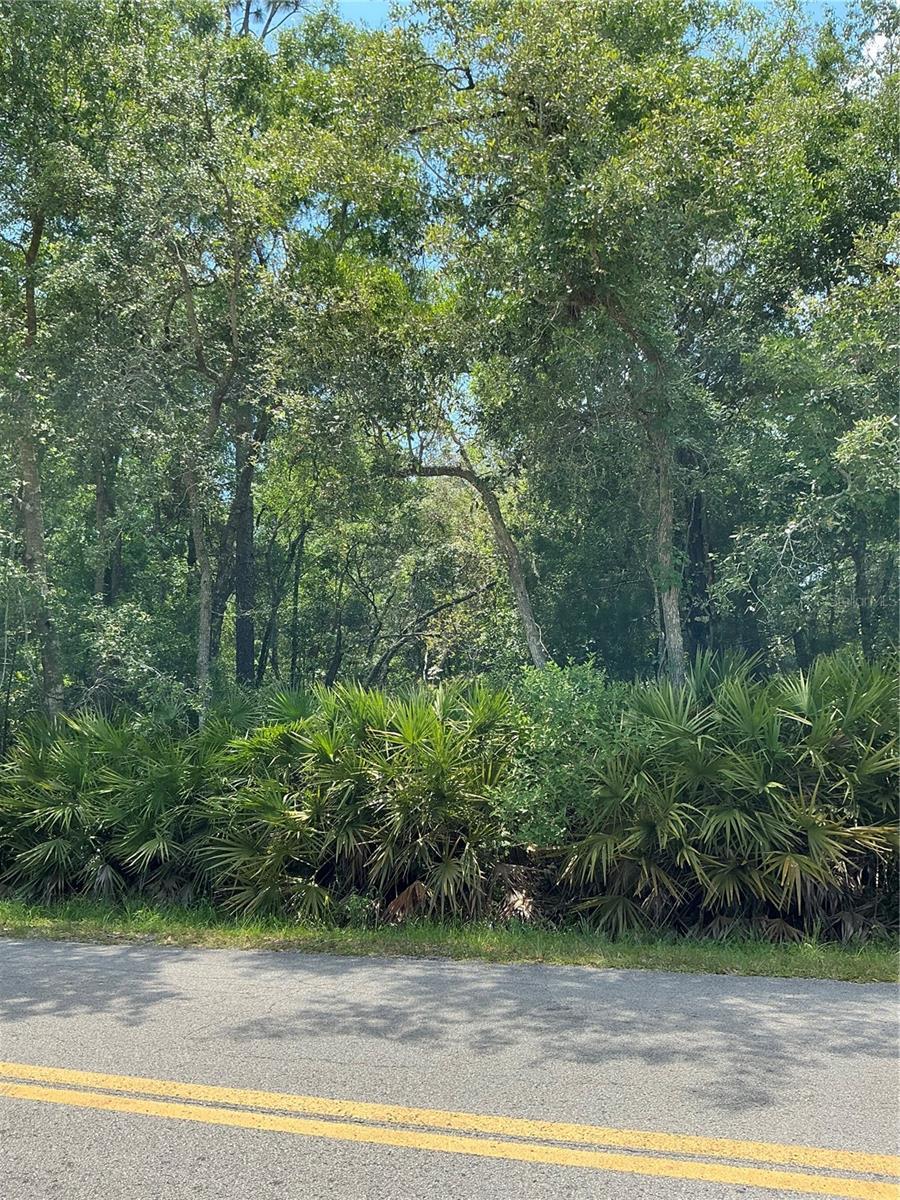 LOT15 NW 118th Ter, Ocala, FL 34482 - photo 1