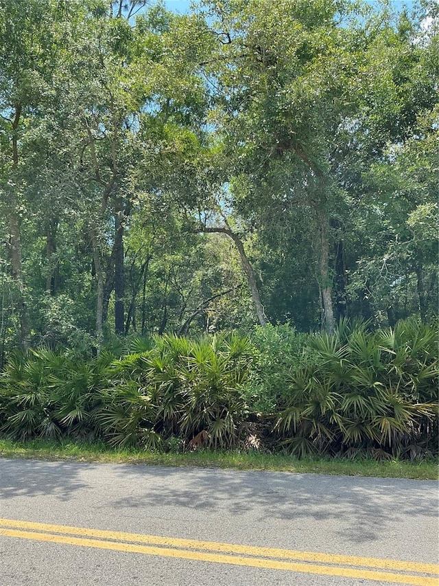 LOT15 NW 118th Ter, Ocala, FL 34482 - photo 1