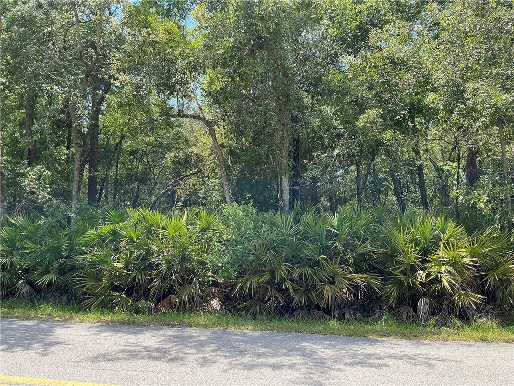 LOT15 NW 118th Ter, Ocala, FL 34482 - photo 2