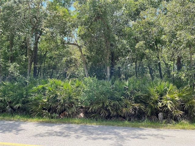 LOT15 NW 118th Ter, Ocala, FL 34482 - photo 2