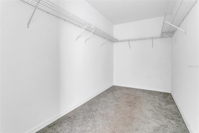 3335 Azolla St, Orlando, FL 32808 - photo 13