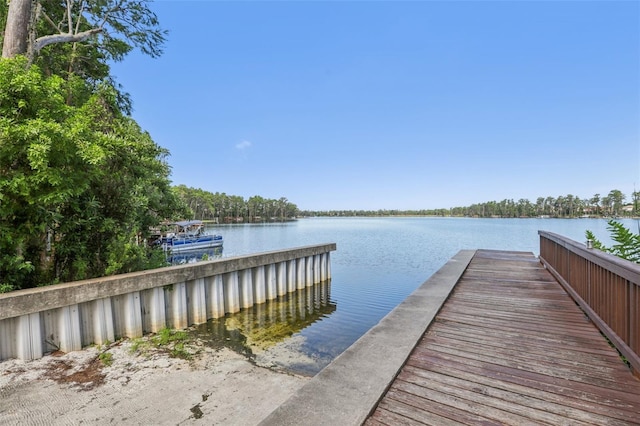 11632 Castine St, New Port Richey, FL 34654 - dock area with a water view
