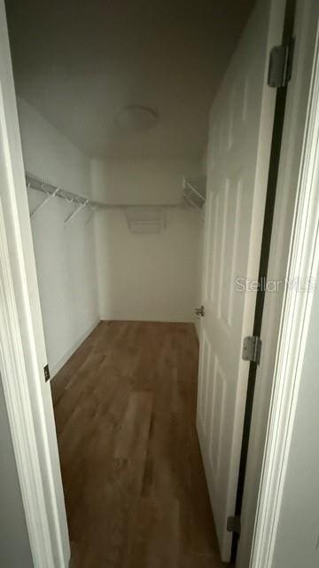 30965 E Thyme Ave, Eustis, FL 32736 - view of walk in closet