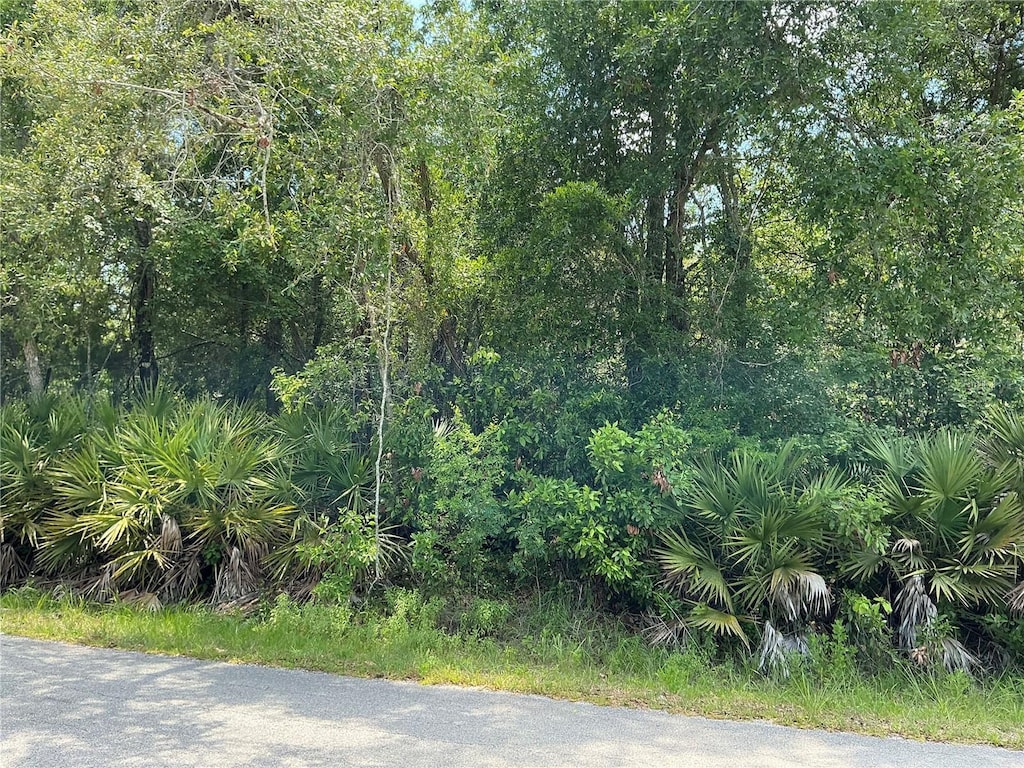 LOT14 NW 118th Ter, Ocala, FL 34482 - photo 1