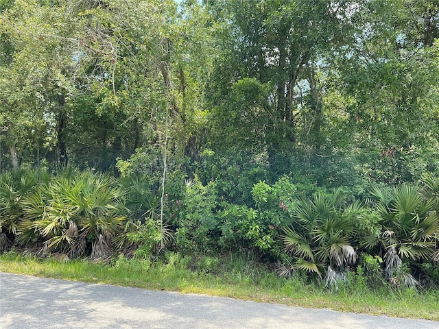 LOT14 NW 118th Ter, Ocala, FL 34482 - photo 1