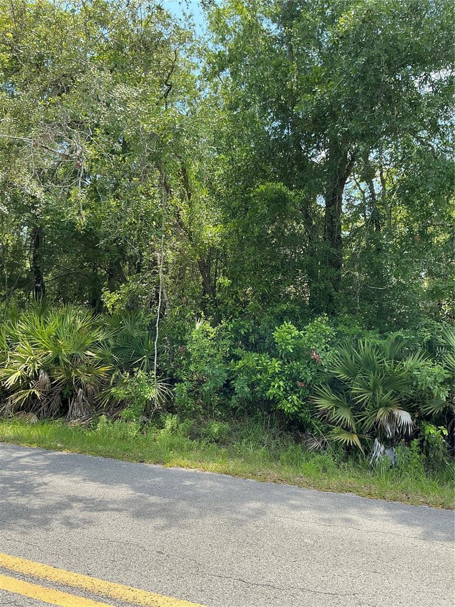 LOT14 NW 118th Ter, Ocala, FL 34482 - photo 2