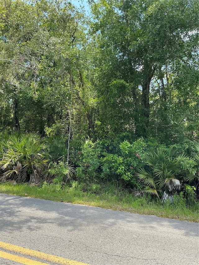LOT14 NW 118th Ter, Ocala, FL 34482 - photo 2