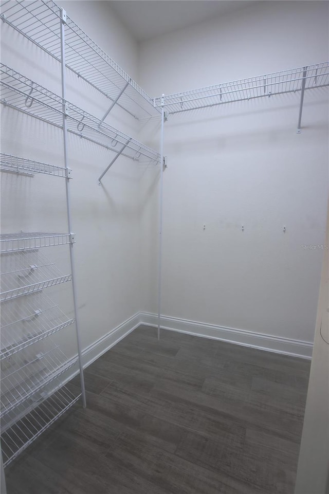 1727 Butterfly Way, Longwood, FL 32750 - walk in closet with wood finished floors