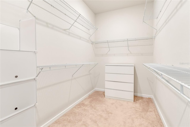 2793 Nature View Rd, Saint Cloud, FL 34771 - walk in closet with light colored carpet