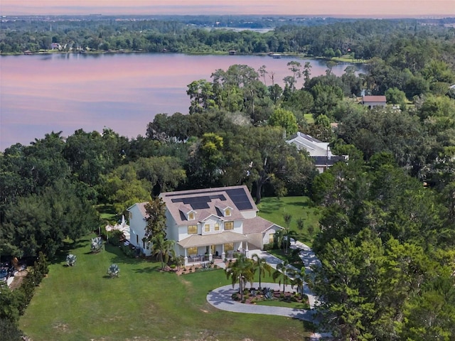 5351 Carson St, Saint Cloud, FL 34771 - aerial view of property's location featuring a large body of water and a forest