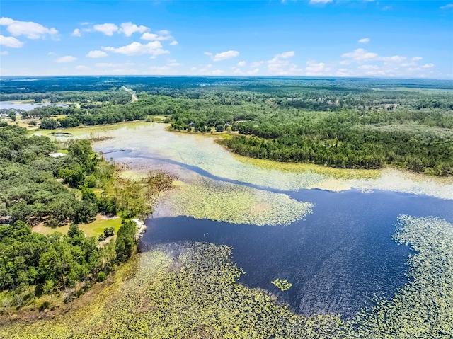 4055 State Road 11, Deland, FL 32724 - photo 2