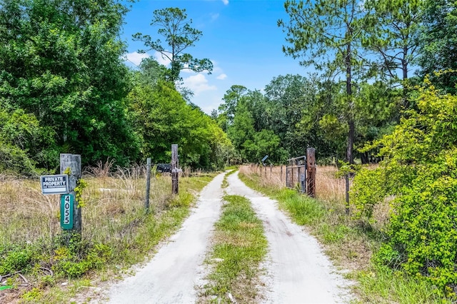 4055 State Road 11, Deland, FL 32724 - photo 6