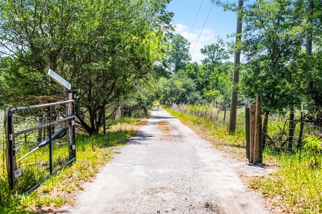 4055 State Road 11, Deland, FL 32724 - photo 7